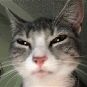 Meet your Posher, Aaliyah